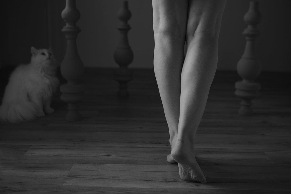 Photo 1272590