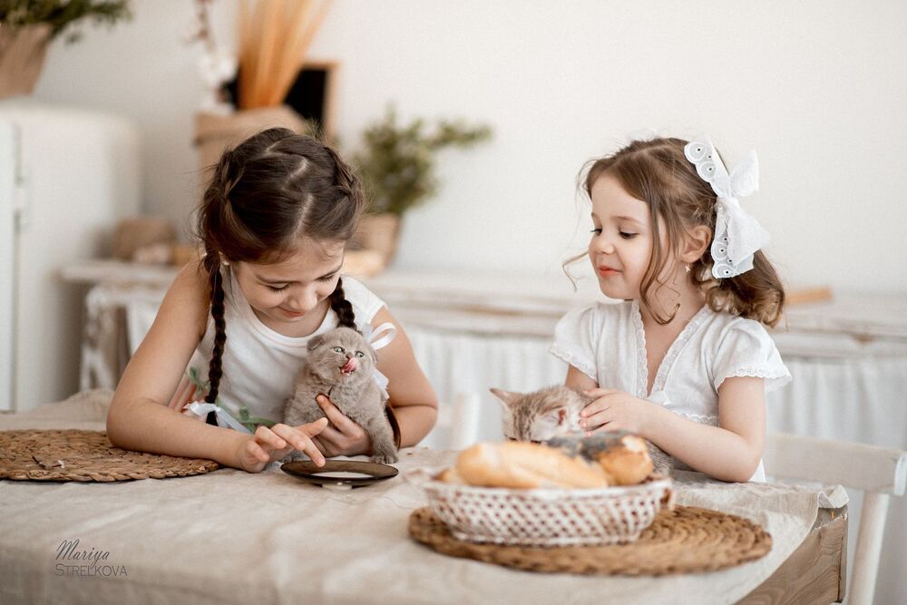Божечки - кошечки!