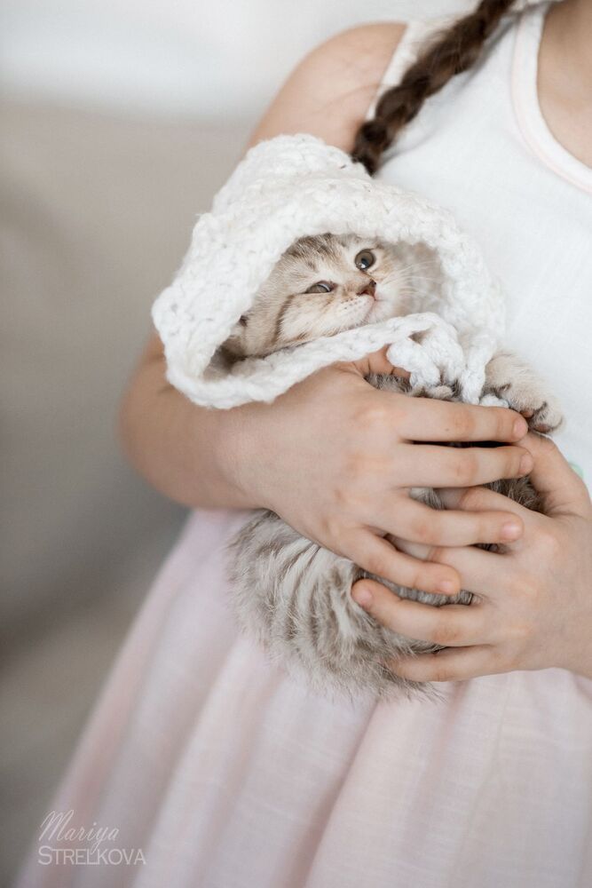 Божечки - кошечки!