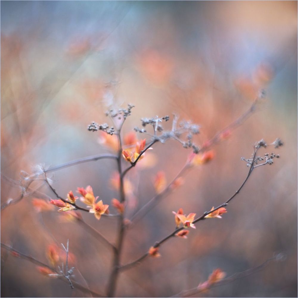 Photo 1273109