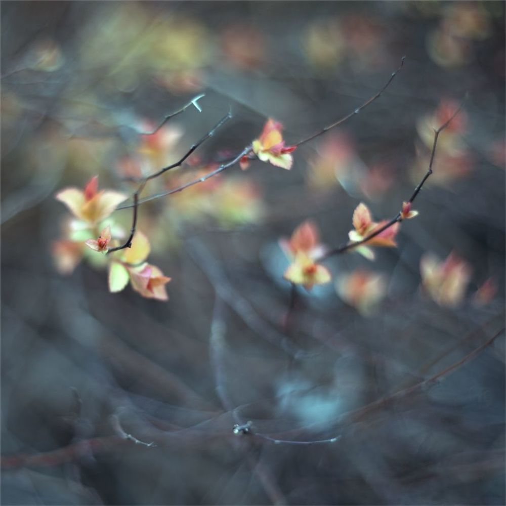 Photo 1273110