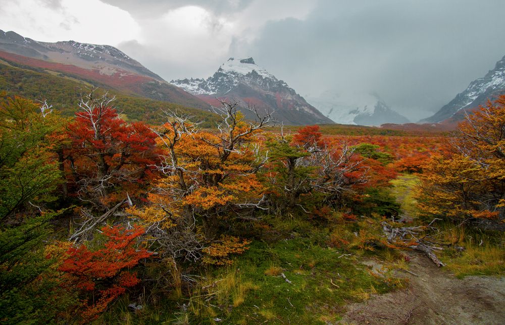 More autumn colors from Fitz Roy