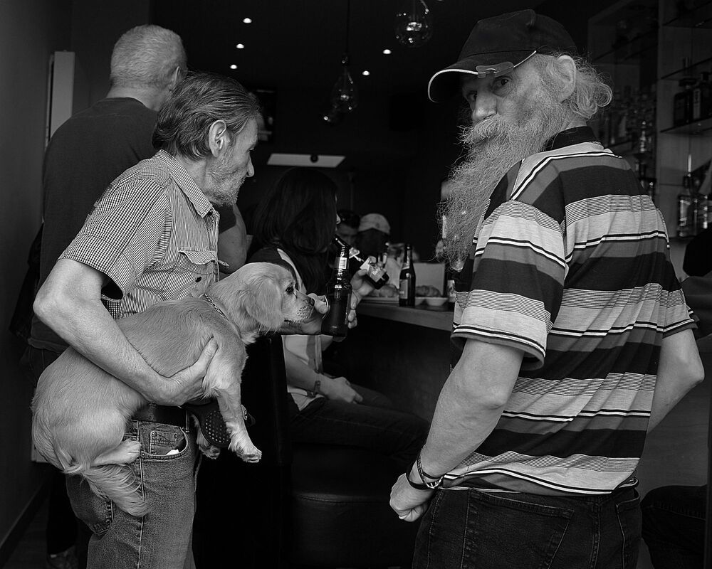 In the pubs of Antwerp.