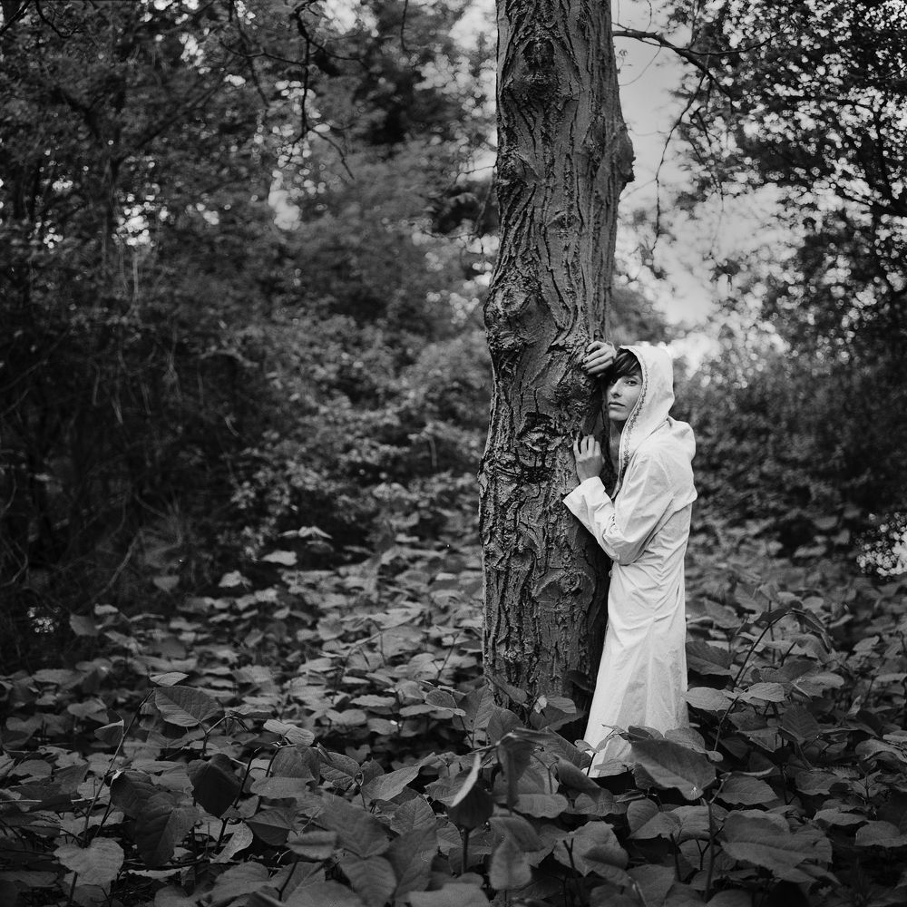 In the wood