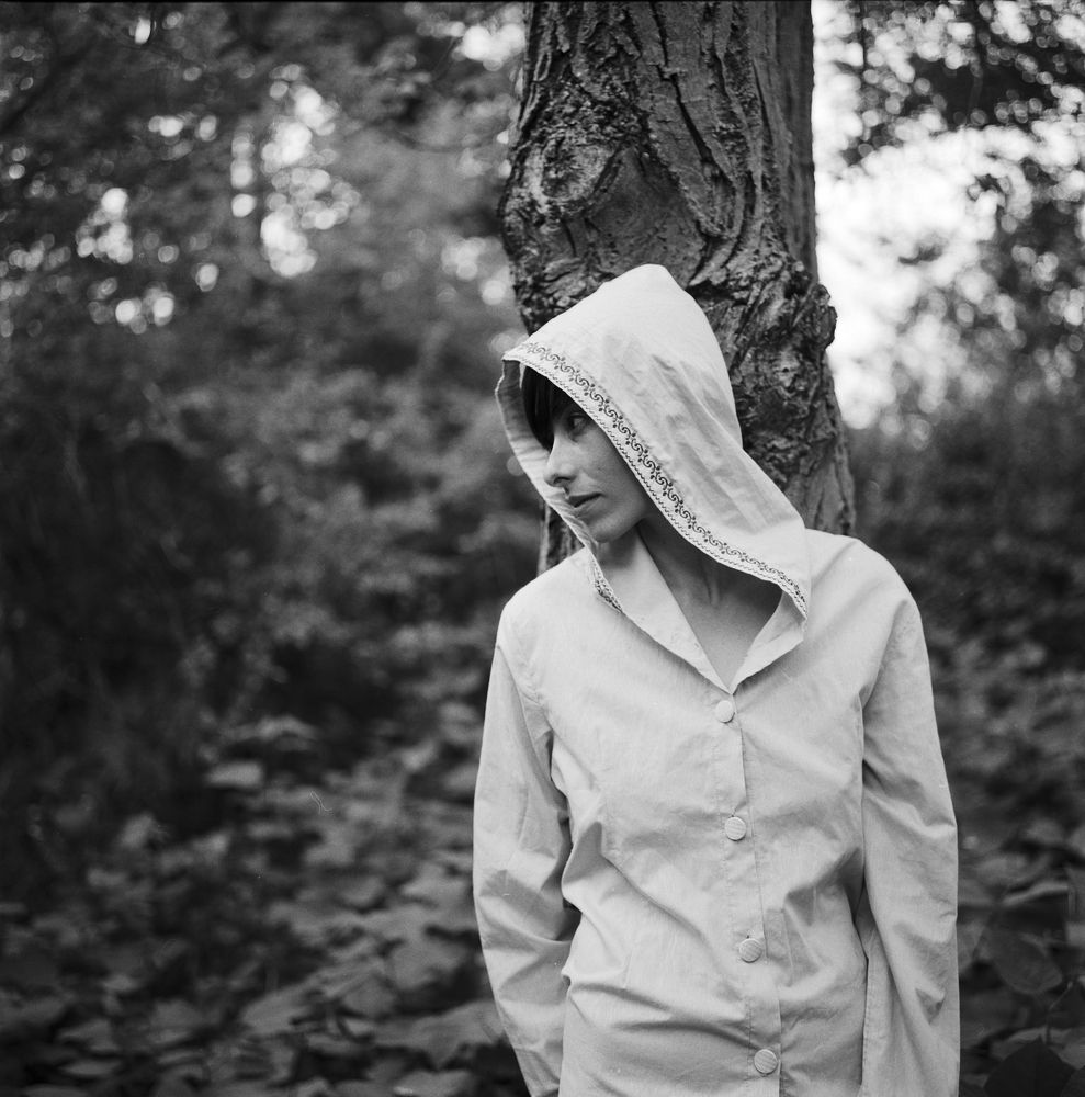 In the wood