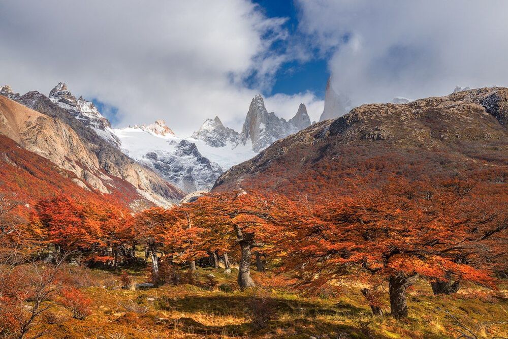 Mount Fitz Roy at sunrise, El Chalten. Patagonia. Argentina; Head in the Clouds. Langtang. Nepal; Golden music of the Garonne. Gateway Viguerie. Toulouse; Watercolor of rain. North Berwick. Scotland; Autumn in Los Glaciares National Park; White summer nig