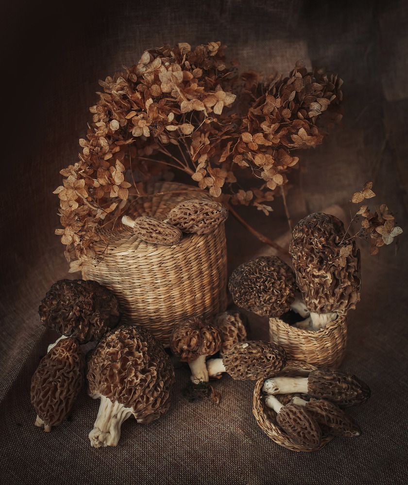 Photo 1274405