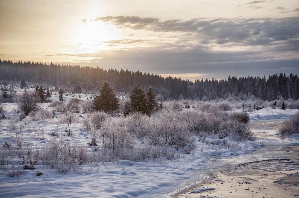 Природа в Пермском крае