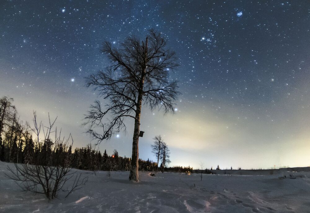 Природа в Пермском крае