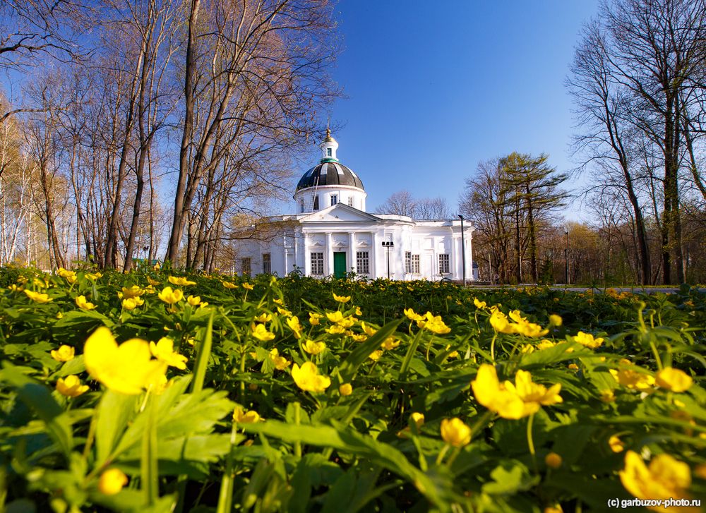 Вперёд, в прошлое! Dесенний Богородицк.