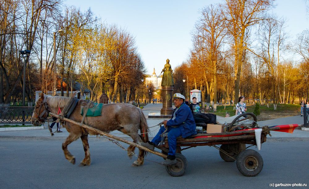 Вперёд, в прошлое! Dесенний Богородицк.