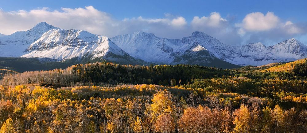 Autumn leaves and snowy mountains