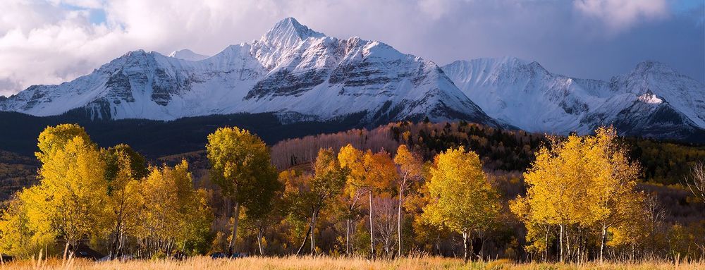 Autumn leaves and snowy mountains