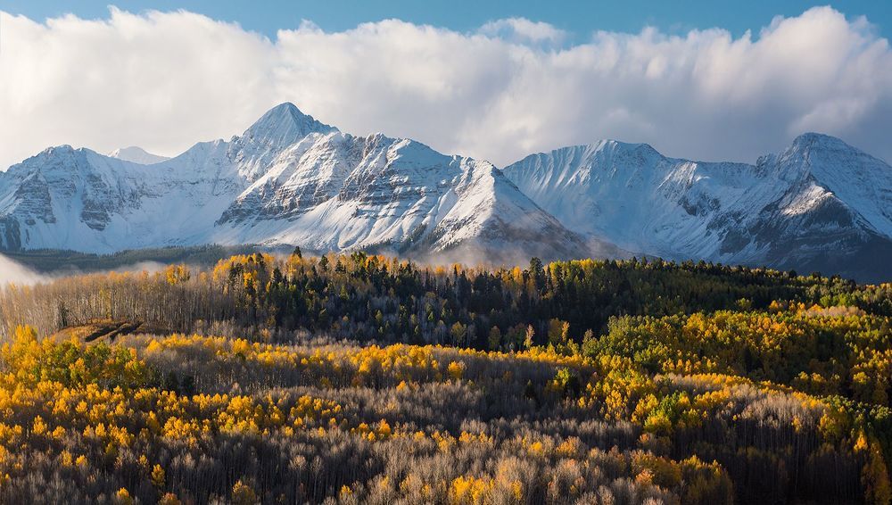 Autumn leaves and snowy mountains