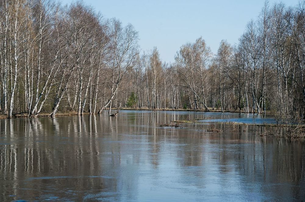 01 В начале мая Мещёрские реки очень полноводны, но весенний паводок, обычно, уже начинает спадать&hellip;