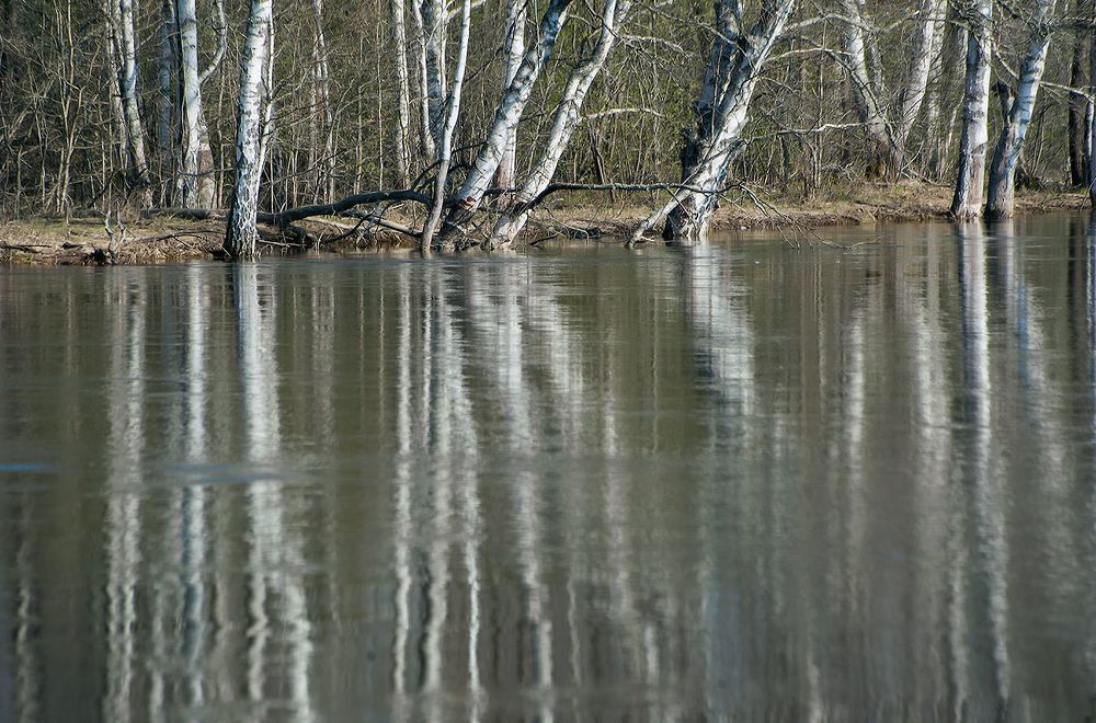 02 Высокие берега рек местами уже появились из-под воды, &hellip;