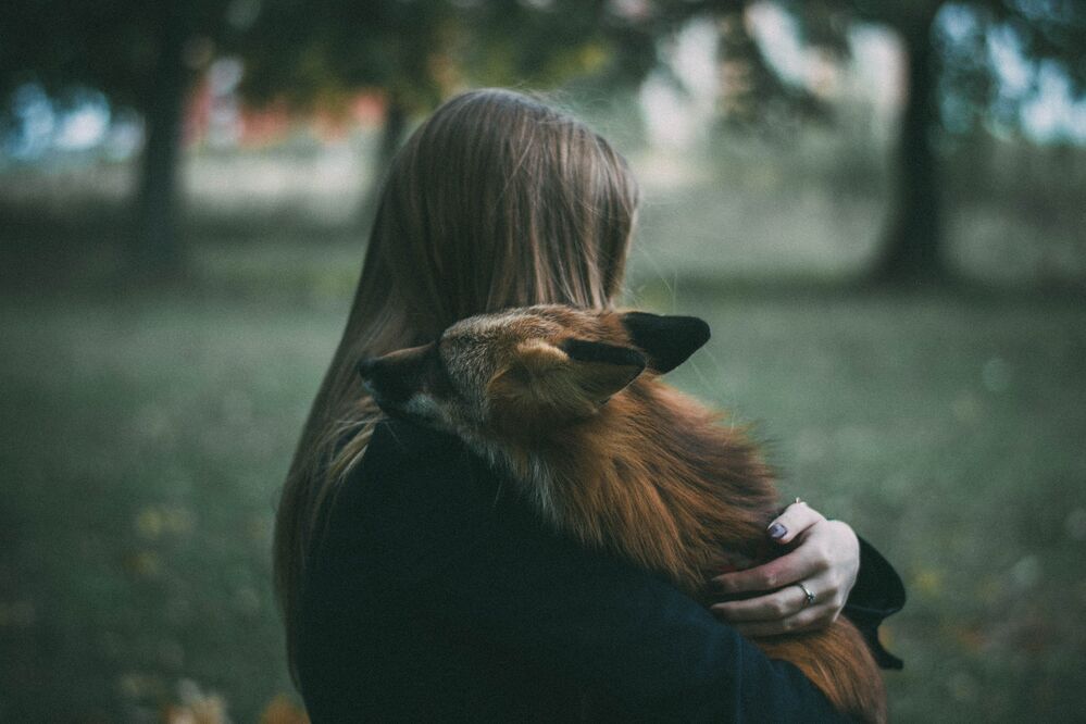 Fox story