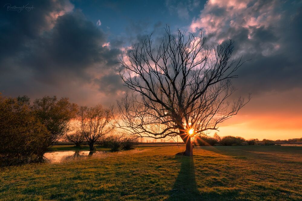 The Burning...