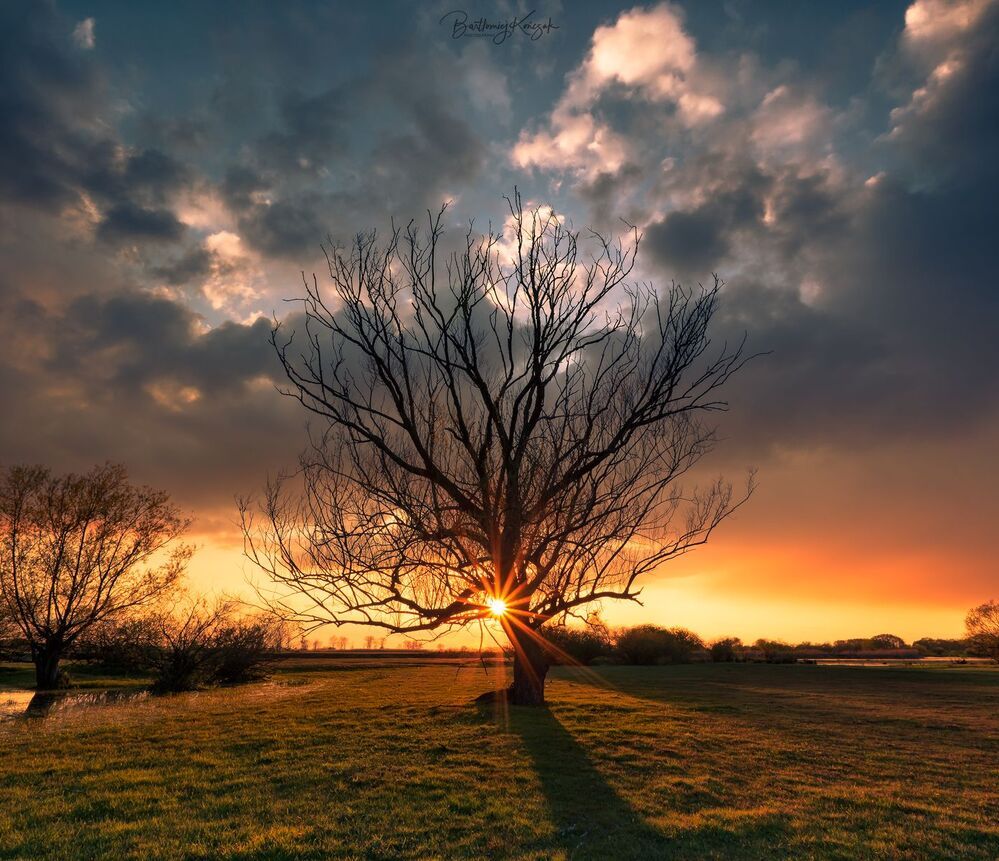 The Burning...