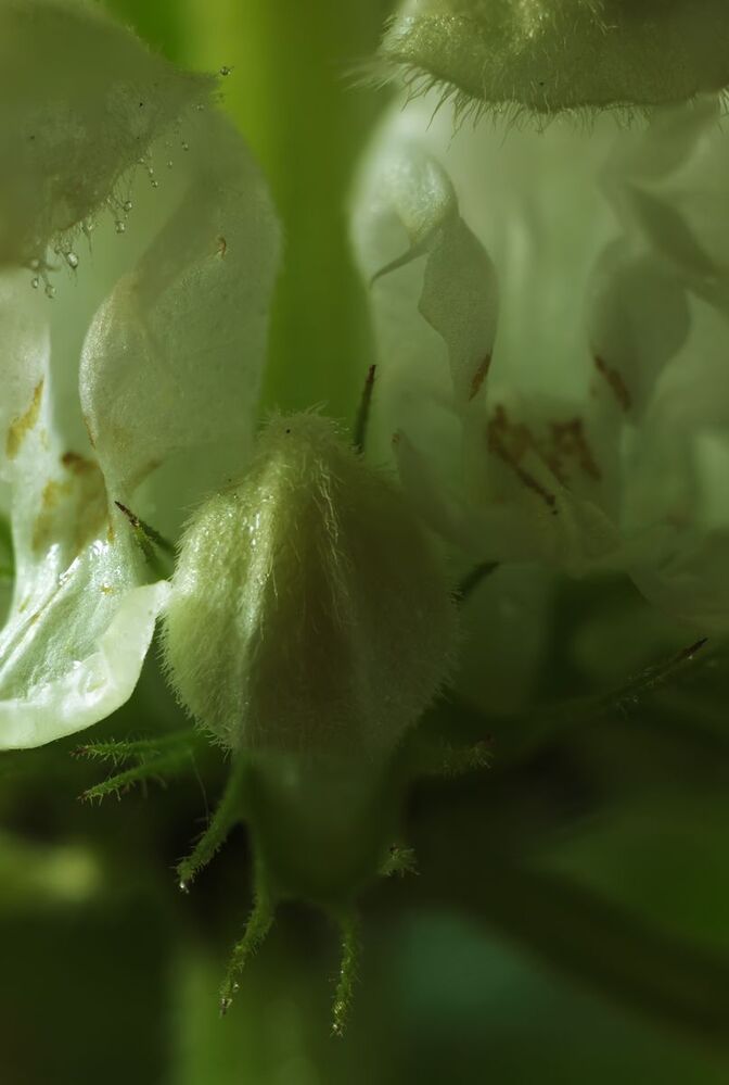Photo 1279351