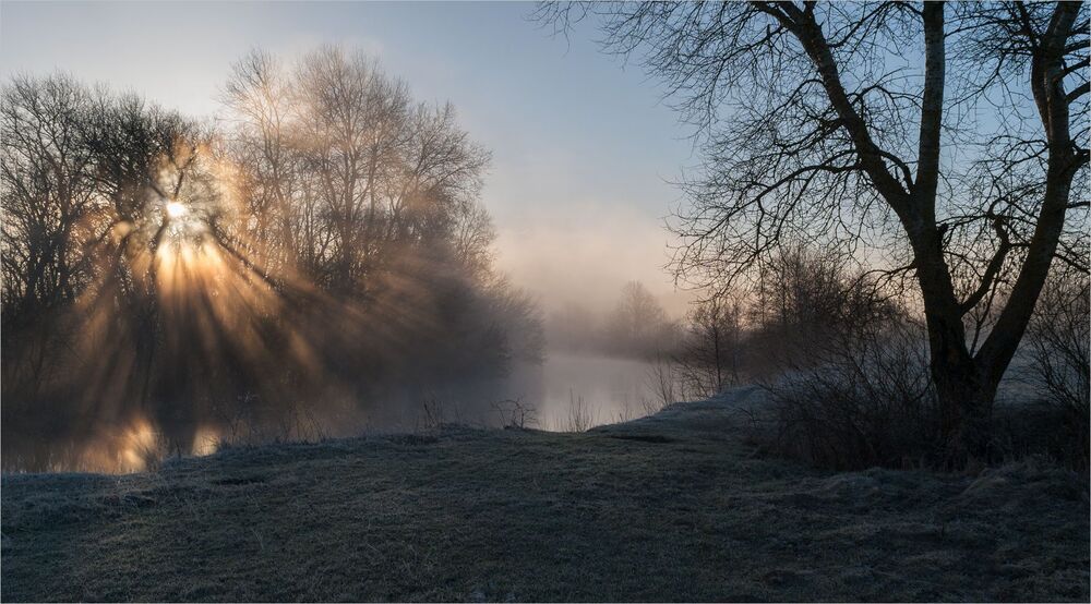 Photo 1279856