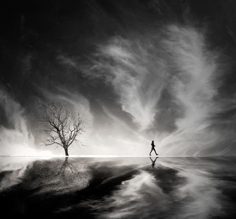 The Anima and Animus 
http://www.ambiaso.eu/