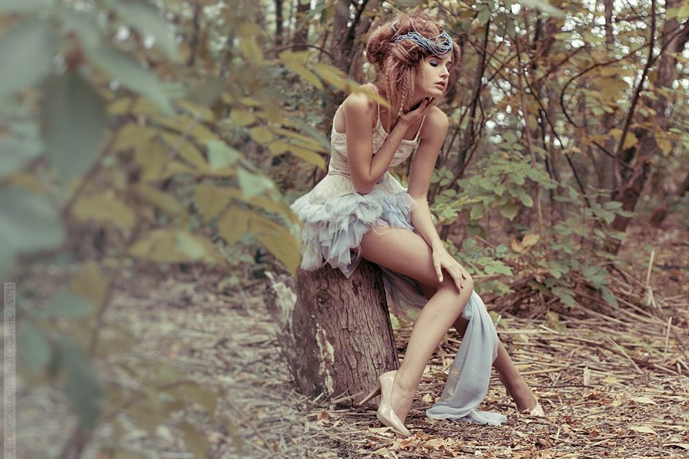 a series of "fairy tale" 1