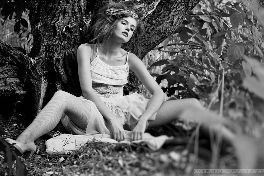 a series of "fairy tale" 1