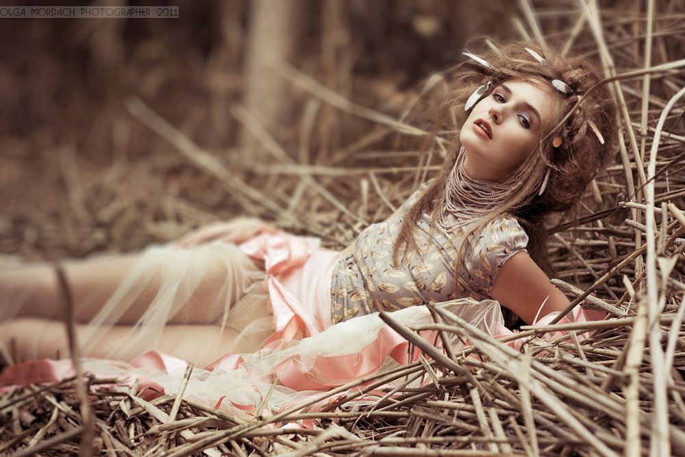 a series of "fairy tale" 2