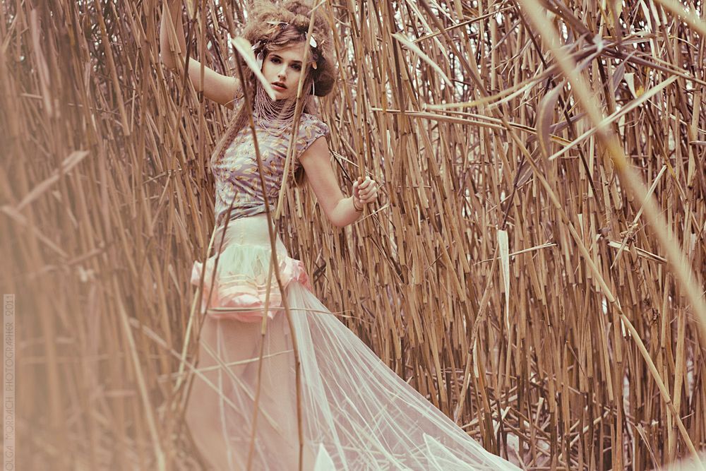 a series of "fairy tale" 2