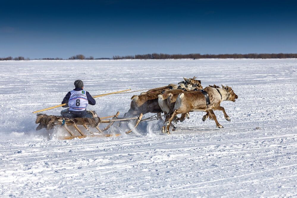 Гонка