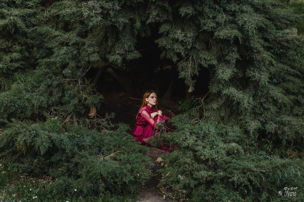 Елена