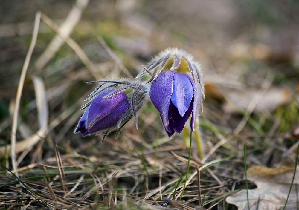 05