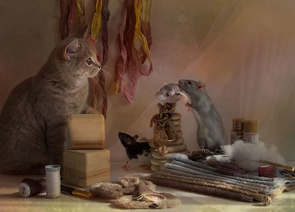 Кошки - Мышки. Лепим, шьём, творим )