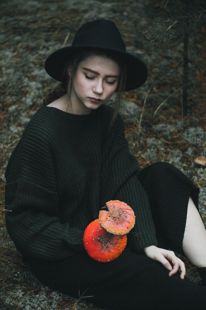 autumn( 2)
