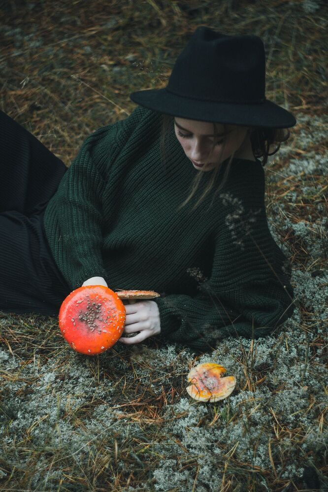autumn( 2)