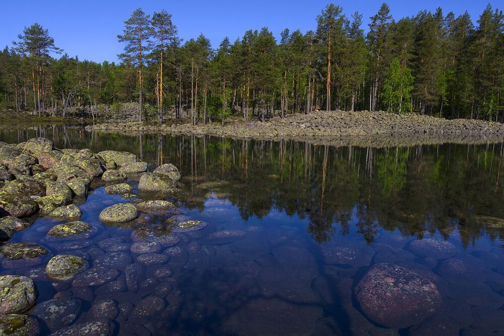 безоблачный день