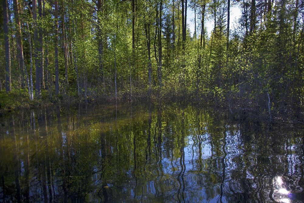 безоблачный день