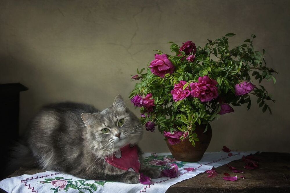 - А может я даже прекрасней!
