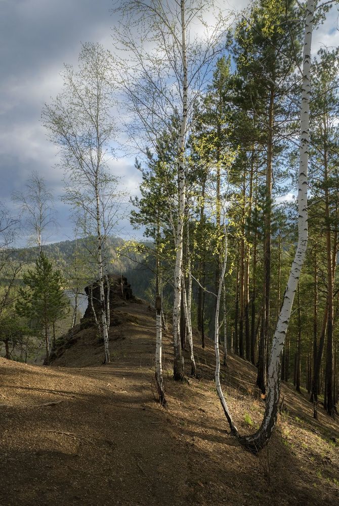 Весна в Дивногории