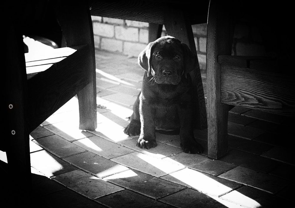 Photo 1281808