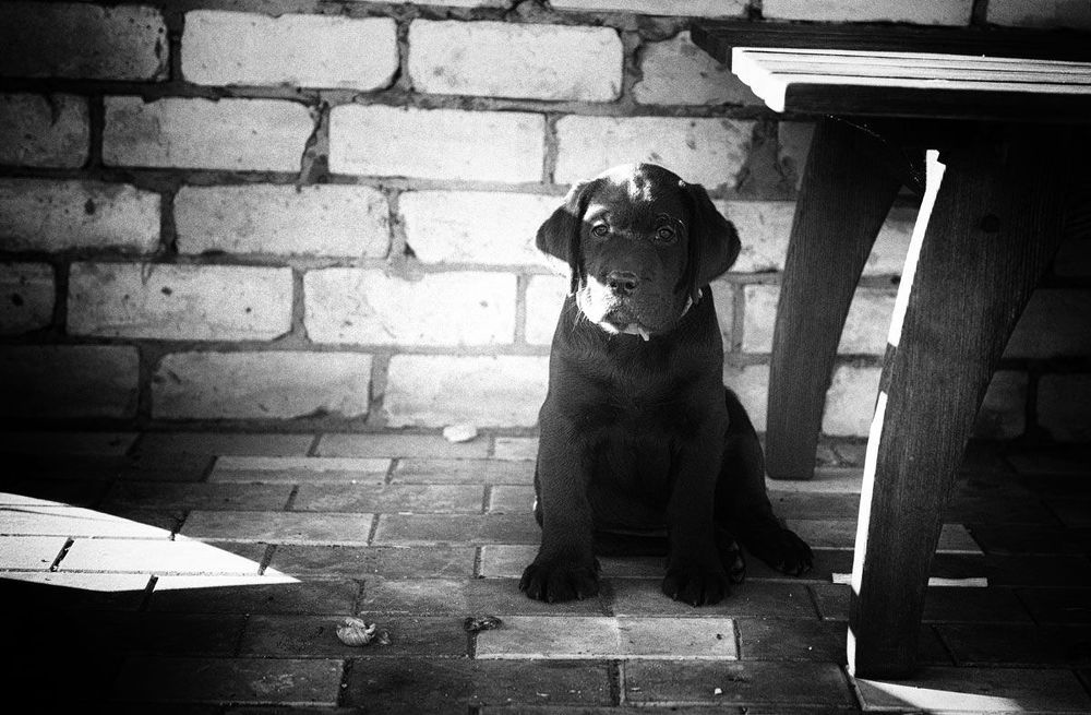 Photo 1281809