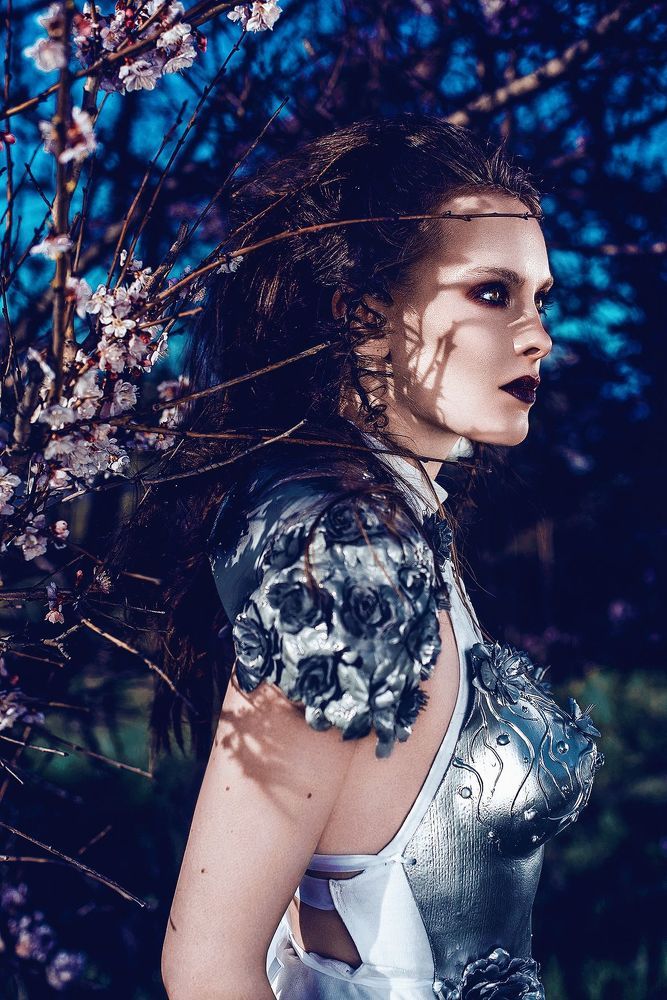 Warrior of Beauty