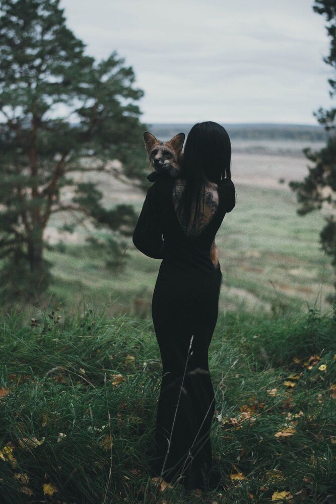 dark and fox