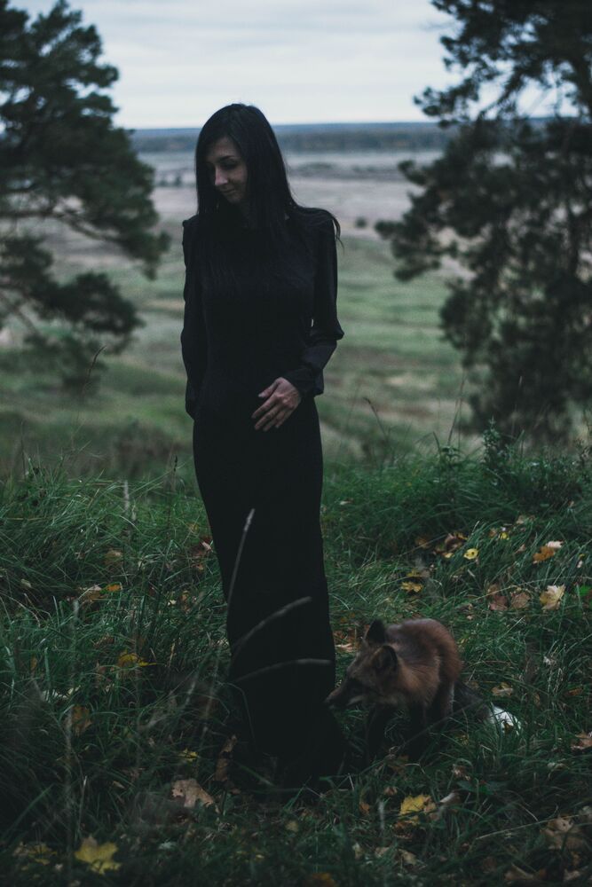 dark and fox