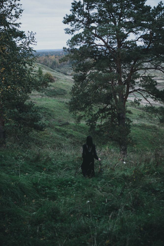 dark and fox
