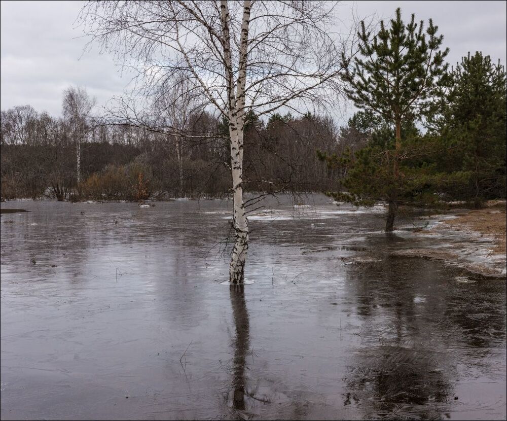 Половодье холодным утром