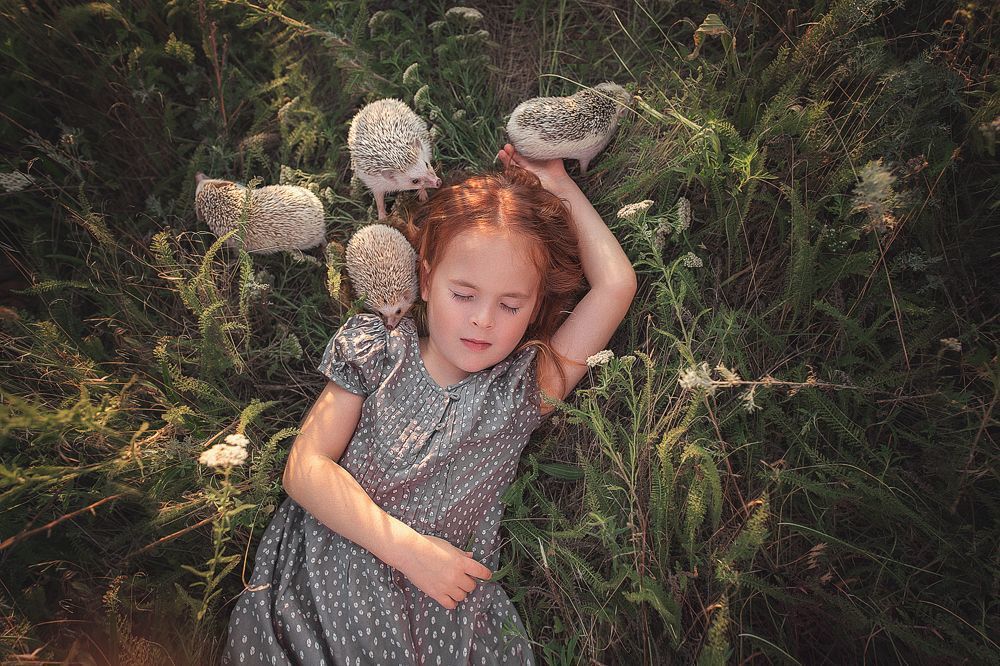 Photo 1283443