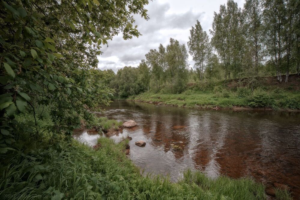 прогулки в ветреные дни...