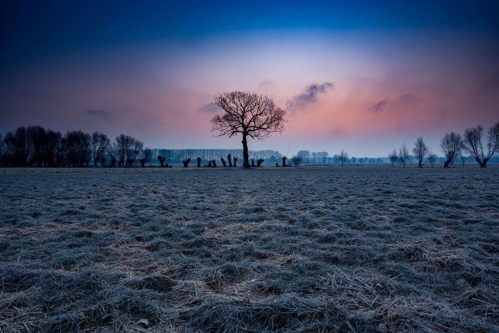 Michal Sleczek Photography